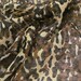 Lovely Small Sheer Black Brown Animal Print Silk Scarf - 22 x 22 Square