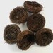 Bird Nest 3 Inch Set of 6
