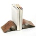 Stainless Steel Curl Book Ends -Eco friendly goods for your home or office.