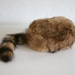 Kids Coon Skin Cap