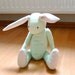 Eco Friendly Bunny Rabbit Baby Green