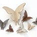 Wall Butterflies - Ranch House