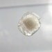 SiLVER DIAMOND SLiCE. Natural. Mad Scientist Natural Inclusion. 1.52 cts. 14x11.9 mm (DIA62)