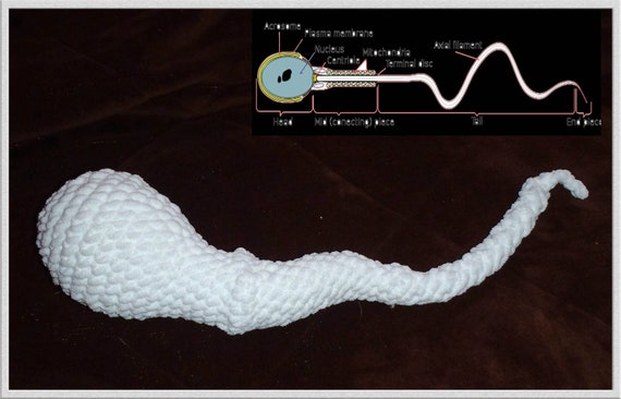 Crochet Jumbo Amigurumi Plush Sperm Fertility Amulet 