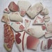 Burnt Red North Sea Pottery Collection SP879