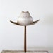 1970s Cowboy Hat / Vintage Western Hat
