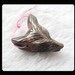 Carved Boulder Opal Wolf Head Pendant Bead,32x42x15mm,21.46g