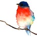 Original Bird Watercolor - Little Blue and Red Bird