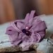 Purple Headband, Cute Baby Headband, Newborn Headband..PHOTO Prop, Vintage Headband, ALL Size, Chiffon Headband - Lace Headband