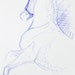 Sketch 178 OOAK Horse Blue Ballpoint Pen Drawing