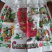 Vintage Souvenir California Apron