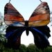 Rich Sunset Hued Madagascan Sunset Moth Stained Glass Suncatcher Window Hanging