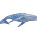 Humpback Whale - Original Watercolor Painting