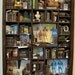 Miniature Library miniature thematic "doctor"