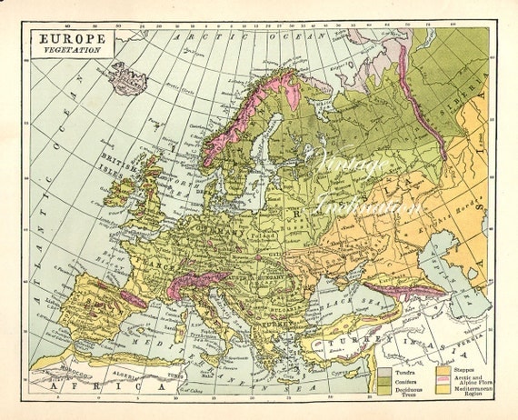 Vintage 1907 EUROPE original map