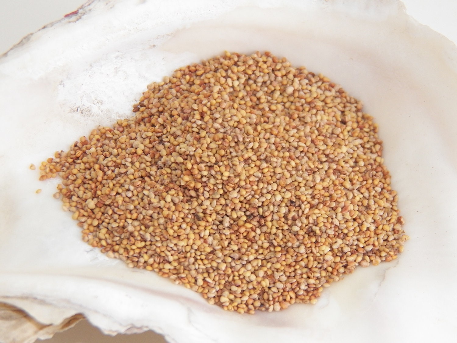 strawberry seeds 2 ounce soap embeds soapmaking supplies strawberry seeds 2 ounce soap embeds soapmaking supplies