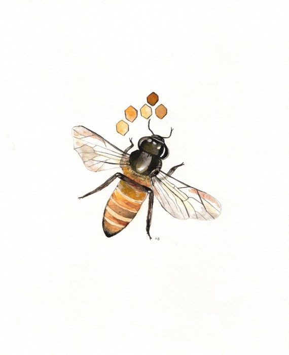 Download Items similar to Bee-lieve/ Bee and Honeycomb Watercolor ...