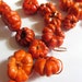 Pumpkin Garland Rustic Autumn Weddings Home Decor Fall and Thanksgiving Table Decoration