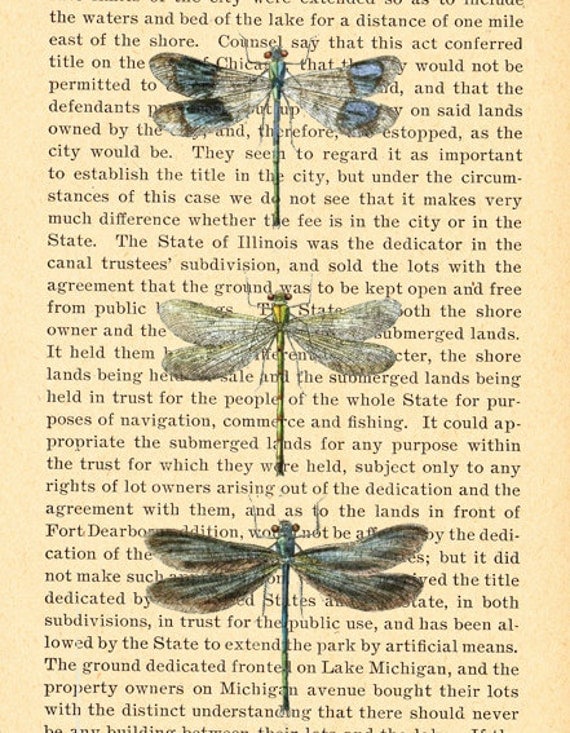 Items similar to Vintage Dragonfly Print on Antique Book Page on Etsy