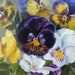 1800's Oil on Board Pansies Still Life, Antique Victorian Gold Framed Painting