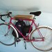 Price Reduced. Live Edge Spalted Maple Bike Rack with Upcycled Spoke Gear Hooks. Free Shipping.