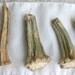 Dried Pumpkin Stems Primitive Craft Supplies Ornies for your Velvet pumpkins - SET of 2 Medium size