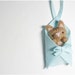 Naughty Cat - needle felted wool