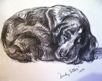 Spaniel dog Vintage Mounted 1936 'Mac' Lucy Dawson spaniel dog plate/print Unique gift Christmas, Birthday, Thanksgiving present gift
