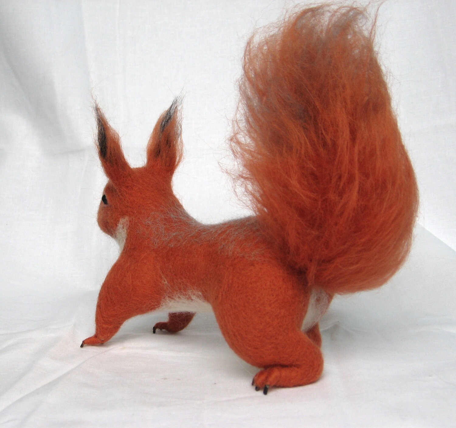 pop up squirrel toy