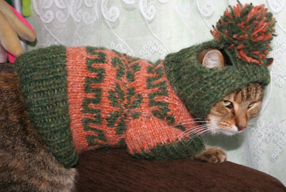 FREE SHIPPING Knit Cat/Dog Hooded Sweater by anastasijagogina
