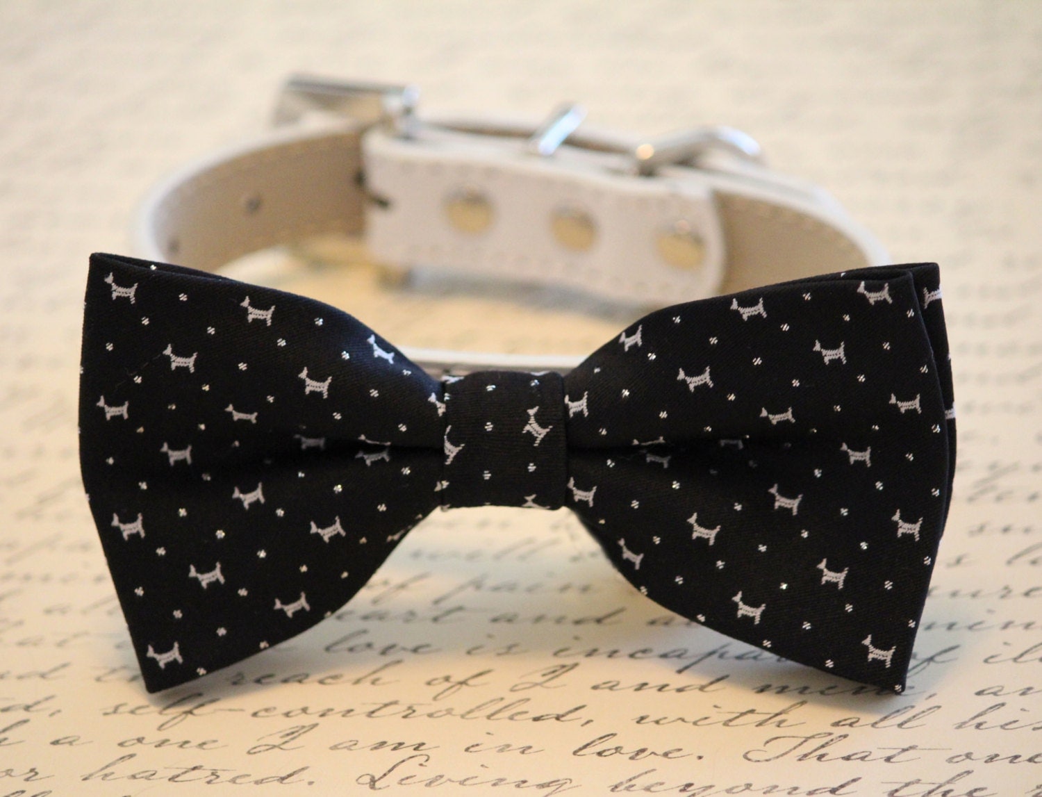 Black dog bow tie bow attachded to dog collar dog birthday