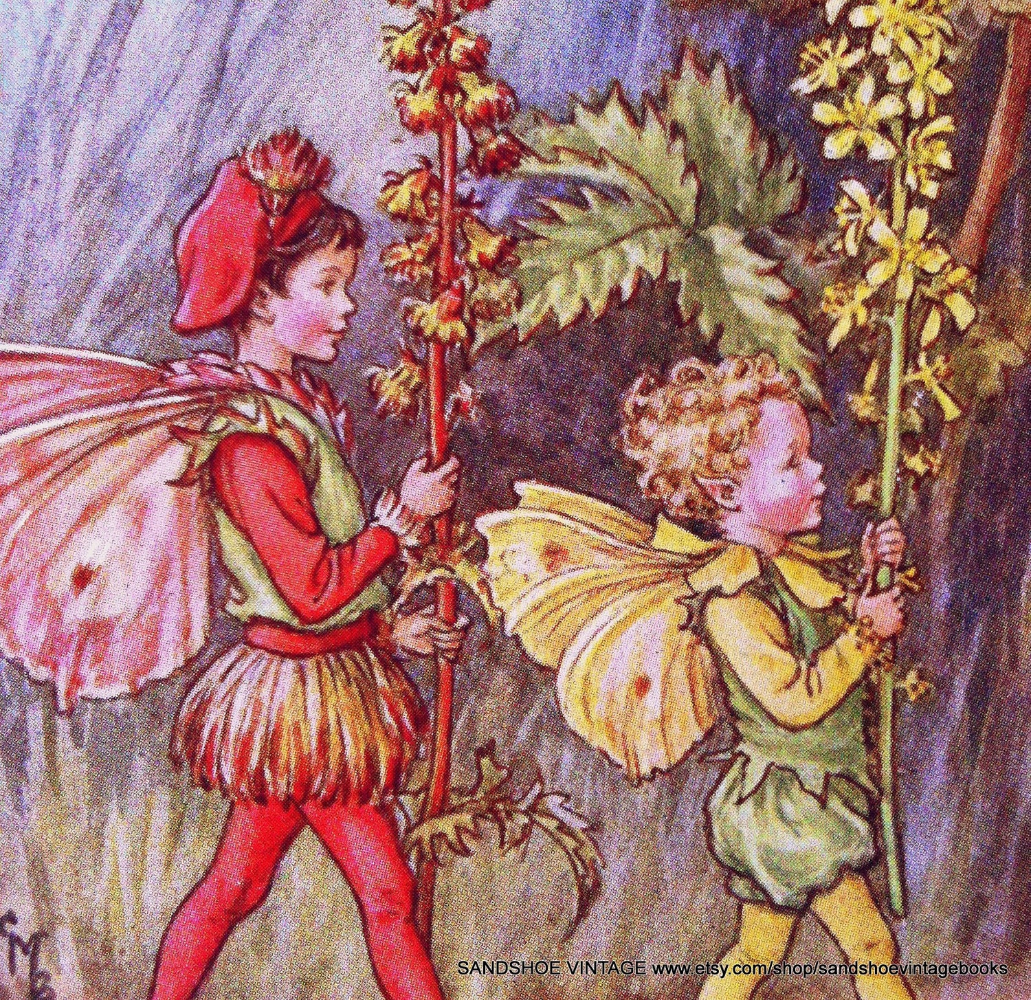 1930s Agrimony Fairies Cicely Mary Barker Print Ideal For