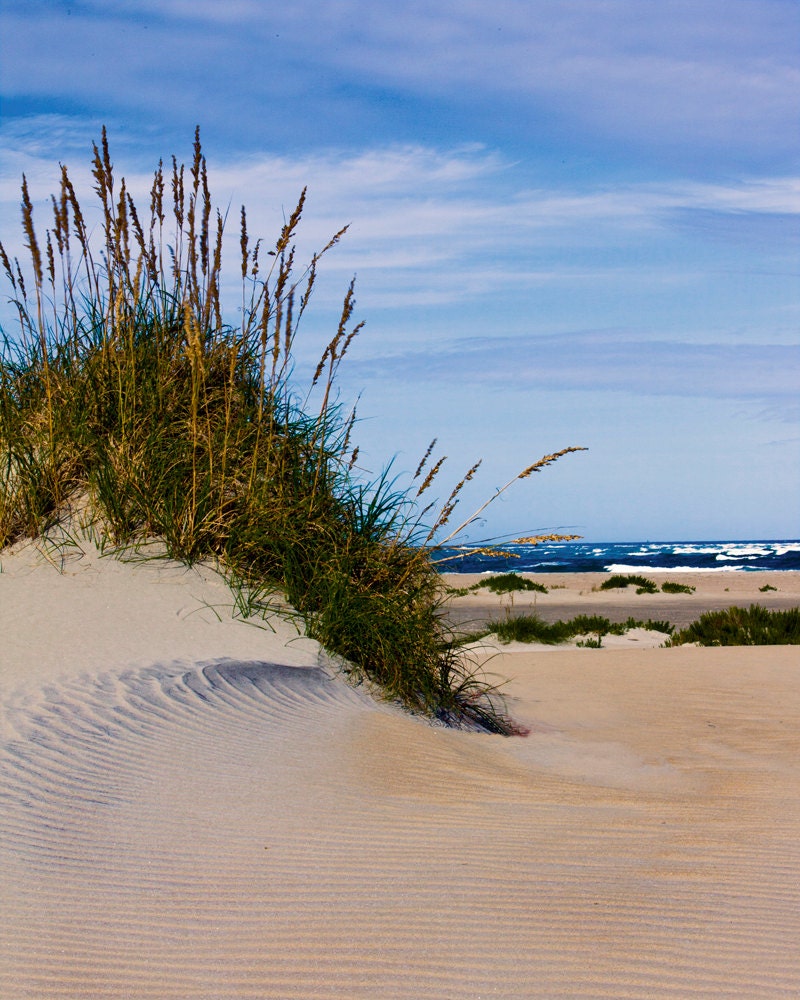 Ocean Sand Dune Sand dune and ocean 8x10