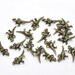 10 Antique Bronze Dinosaur T-Rex Tyrannosaurus Rex Charm Pendant 22mm x 12mm - Pack of 10 CP13