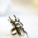 Gold Scarab- Vintage Style Gold Color Metal Beetle Bug Roach Ring Antique Bronze Plated Steampunk Nerdy Jewelry OOAK by Giftin For Fifteen