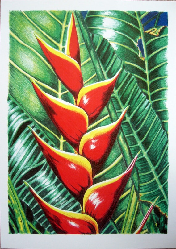 Items similar to Heliconia flower print from an original water colour 