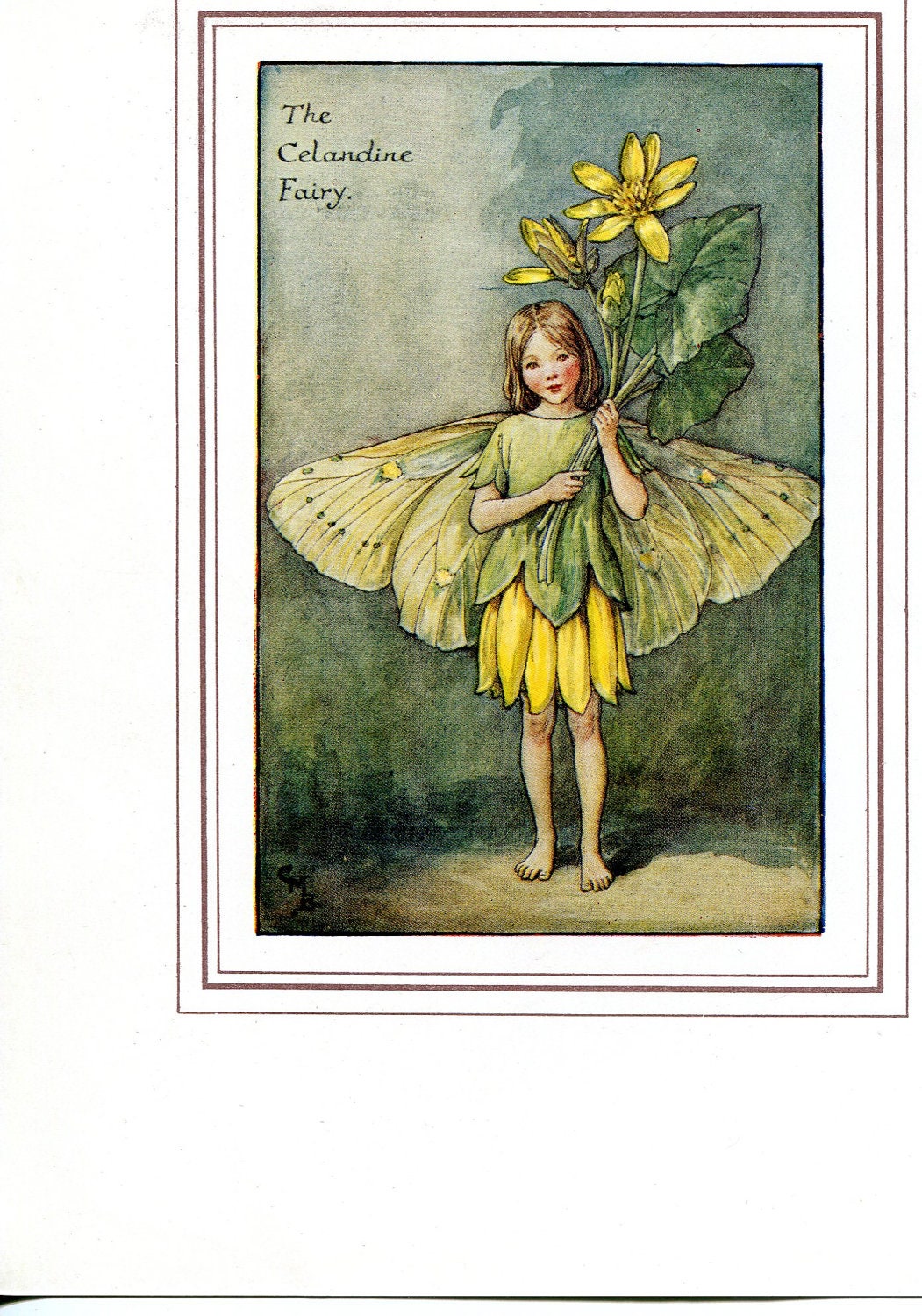 The Book of Flower Vintage Bookplate