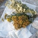 Herbal Collecting and Drying Bags
