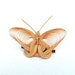 Handmade Vintage Butterfly Brooch Bamboo Ribbon Natural Jewelry