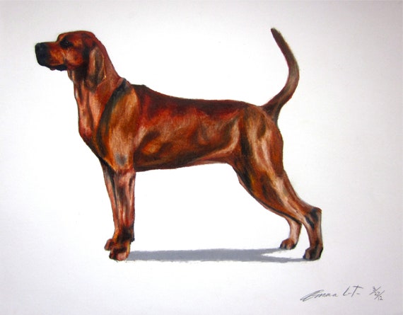 Redbone Coonhound Dog Archival Fine Art Print by EmmasBestInShow