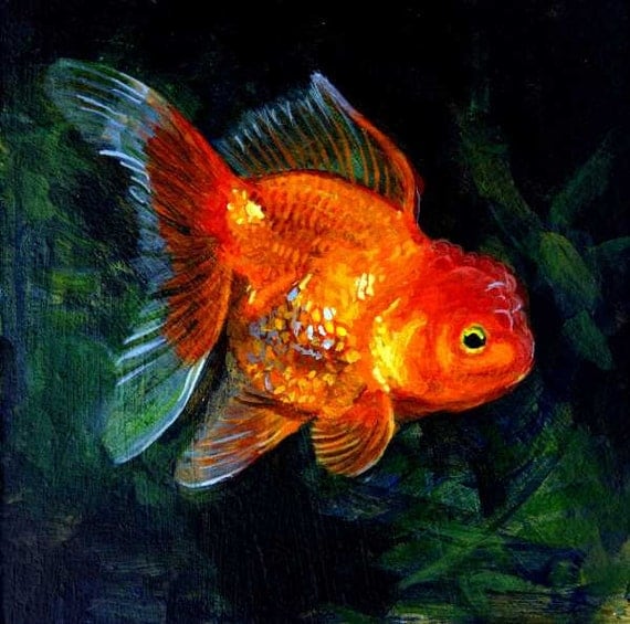 Items similar to Goldfish Painting, Original print, ornamental variety