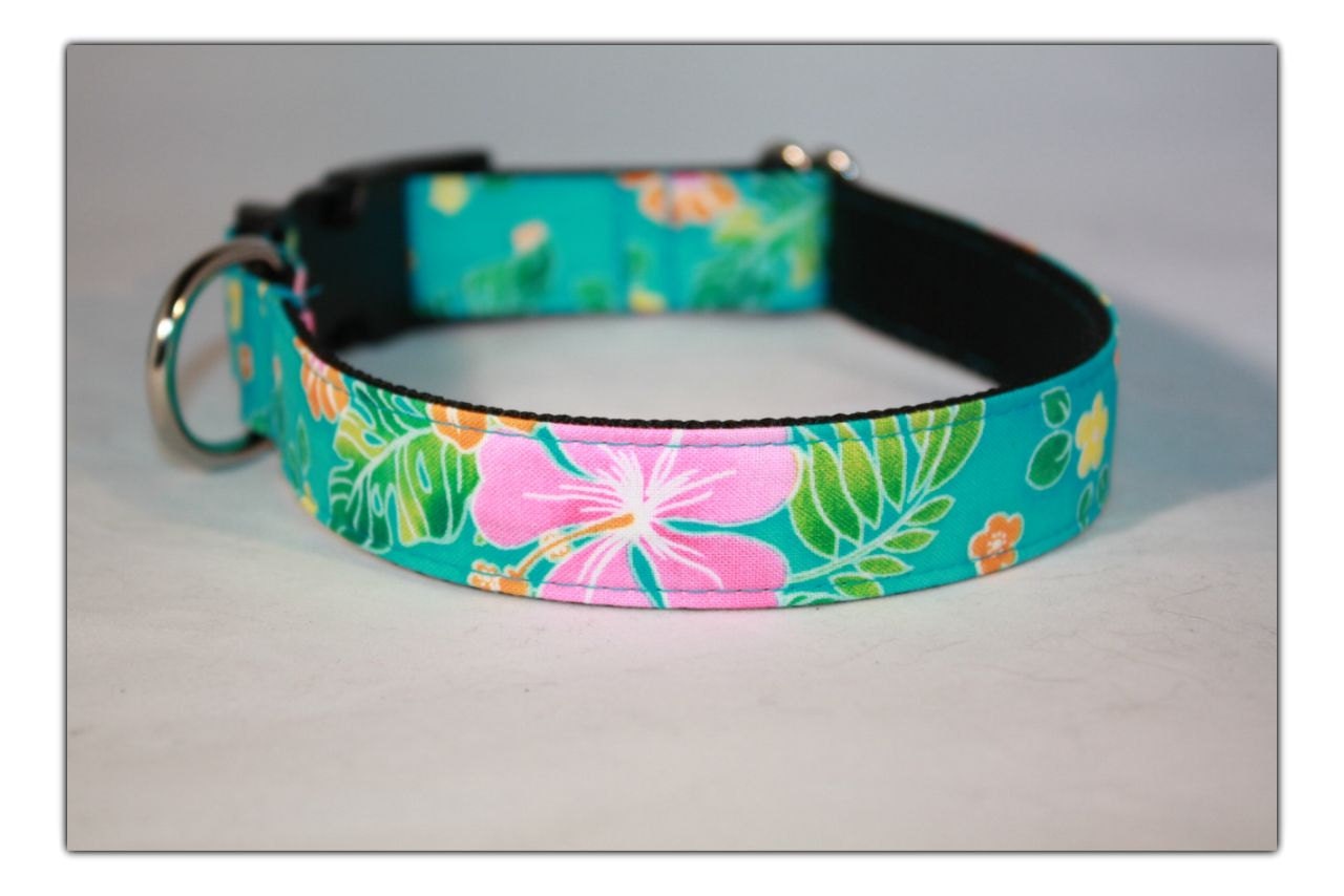 Custom Tropical Hawaiian Cute Dog Collar by BlueCookieCollars