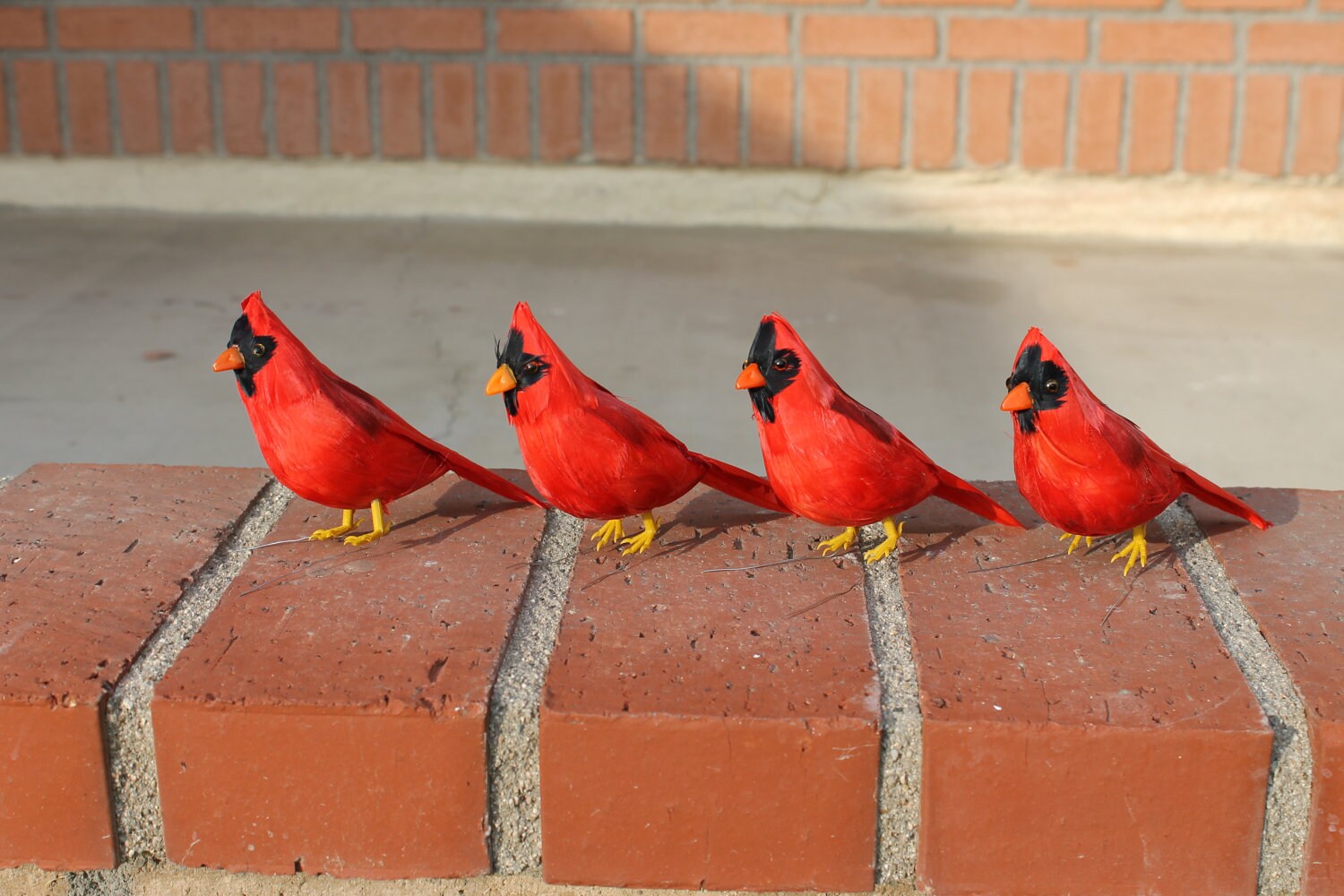 Furry Animal Feather Red Cardinal x4pcs Bird Taxidermy Small