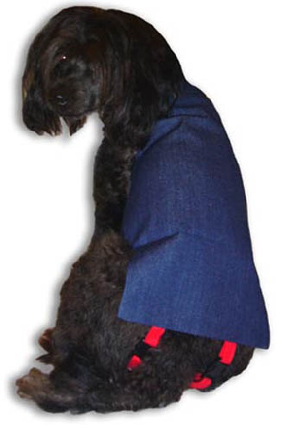 Male Dog Diapers Denim Fabric in Small