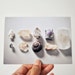 Crystals and Fossils Note Cards - Natural History Photography of Desert Rocks and Rough Minerals and Quartz - Wall Art