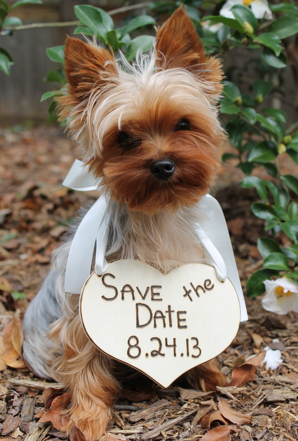 Puppy Sign Save The Date Sign Beautiful Cream by MichelesCottage
