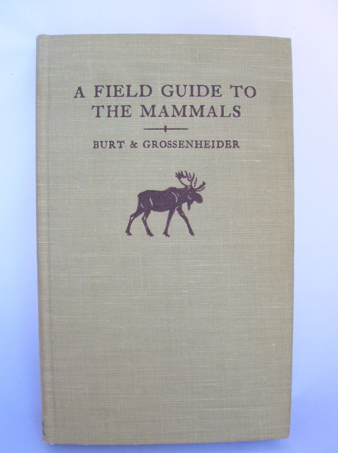 A Field Guide To The Mammals Burt And Grossenheider Copyright