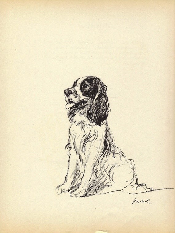 SPANIEL -1930s Vintage Dog Print,  Lucy Dawson, Wall Home Decor, Cocker Spaniel, Art Illustration to Frame, plate, black & white, B-1