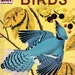 The How and Why Wonder Book of Birds
