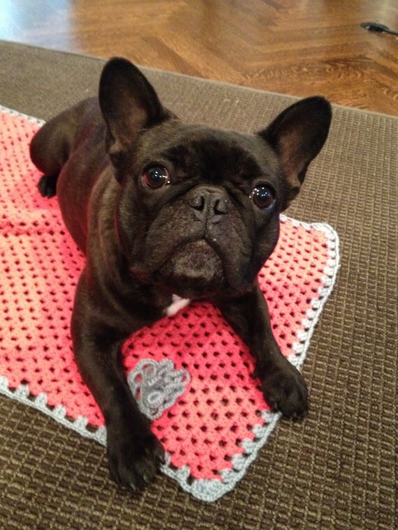 French Bulldog Crochet Blanket for Dogs Handmade Lap Afghan